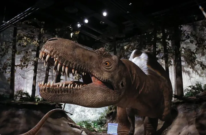 کودکان و جوانان کانادایی، تابستان را رایگان بگذرانید!